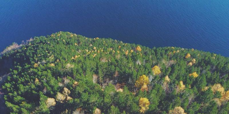 企业如何选择适合自己的裂变传播方案